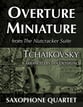 Overture Miniature P.O.D cover